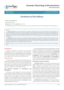 Evolution of the Kidney
