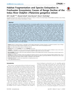 Indus River Dolphin - India Environment Portal