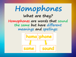 SPaG Focus 3 Homophones
