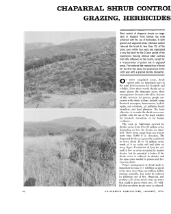 chaparral shrub control as influenced by grazing