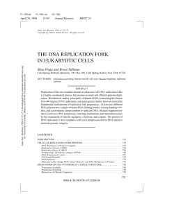 THE DNA REPLICATION FORK IN EUKARYOTIC CELLS
