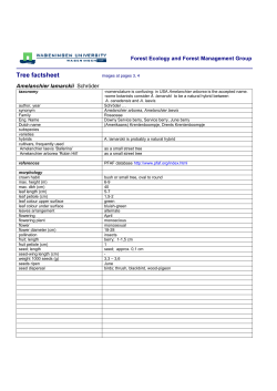 Amelanchier lamarckii
