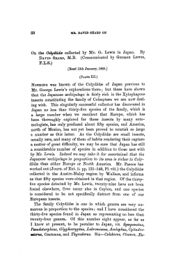 On the Colydiid collected by Mr. G. Lewis in Japan.