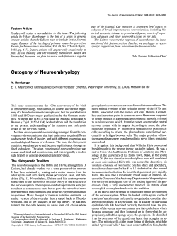 Ontogeny of Neuroembryology