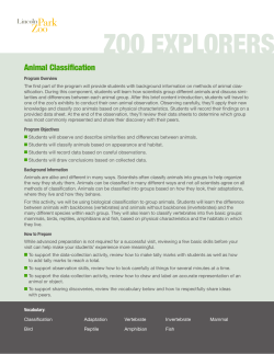 Learn More About This Program