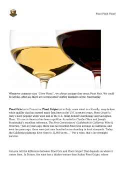 Pinot Pinot Pinot! Whenever someone says &ldquo;I love Pinot!&rdquo;, we always