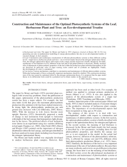 Construction and Maintenance of the Optimal Photosynthetic