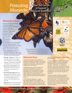 and print the 8.5" x 11"