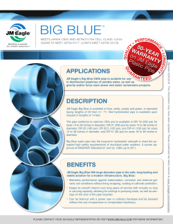 BIG BLUE - JM Eagle