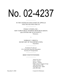 Opening Brief for Petitioner