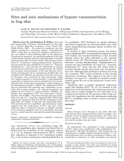 Sites and ionic mechanisms of hypoxic vasoconstriction in frog skin