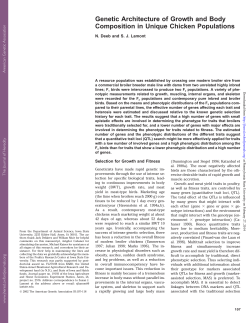 as a PDF