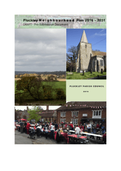 Neighbourhood Plan
