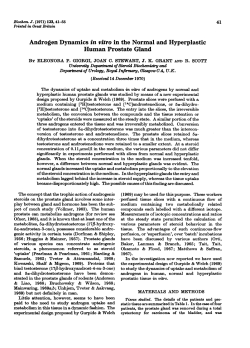 Androgen Dynamics in vitro in the Normal and Hyperplastic
