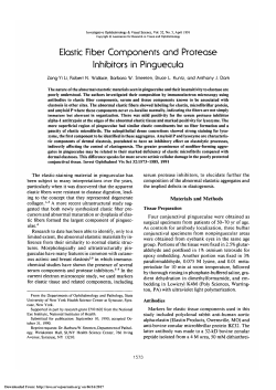 Elastic fiber components and protease inhibitors in pinguecula.