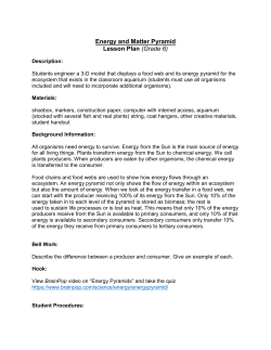 Energy and Matter Pyramid