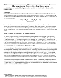 Photosynthesis Lab - Birmingham City Schools