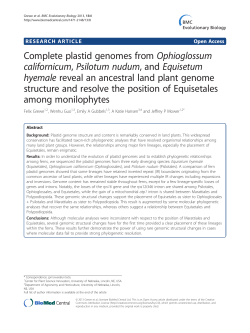 Complete plastid genomes from Ophioglossum californicum
