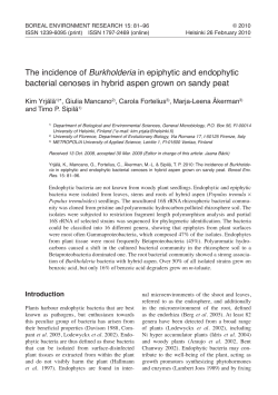 the incidence of Burkholderia in epiphytic and endophytic bacterial