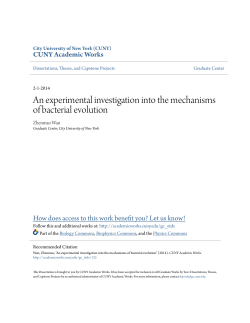 An experimental investigation into the mechanisms of bacterial