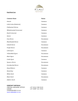 Bird List - Etali Safari Lodge