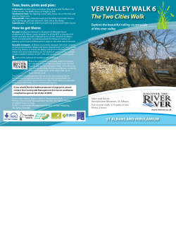 a copy of Walk 6 map and