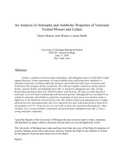 An Analysis of Antiseptic and Antibiotic Properties