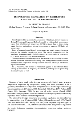 temperature regulation by respiratory evaporation in grasshoppers