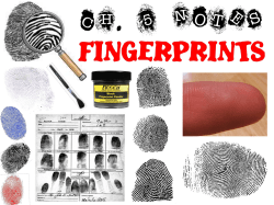 History of Fingerprinting
