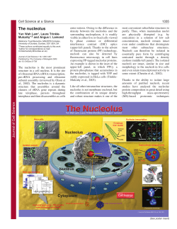 The nucleolus - trinklelab . com