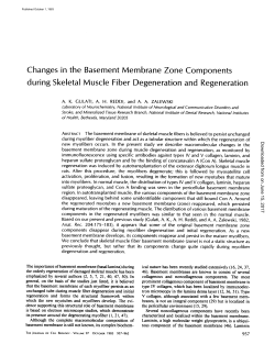 Changes in the Basement Membrane Zone Components during