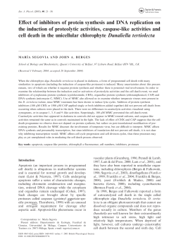 Effect of inhibitors of protein synthesis and DNA replication on the