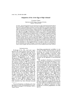 Adaptation of the Avian Egg to High Altitude1