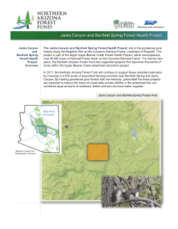 Jacks Canyon and Banfield Spring Forest Health Project