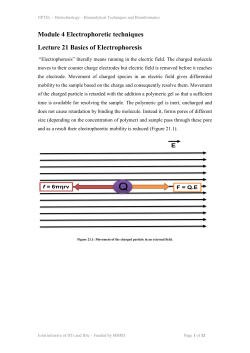 Electrophoretic techniques