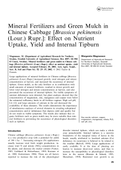 Mineral Fertilizers and Green Mulch in Chinese Cabbage [Brassica
