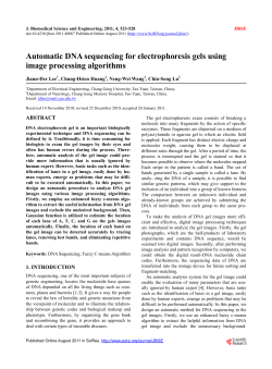 Automatic DNA sequencing for electrophoresis gels using image