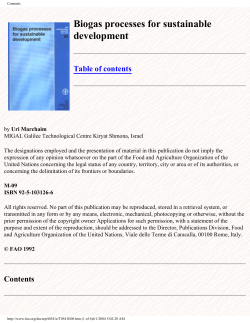 Biogas processes for sustainable development