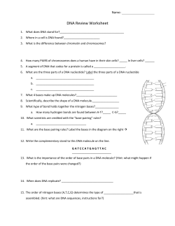 DNA Review Worksheet