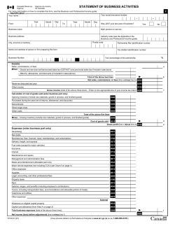 Statement of Income and Expenses