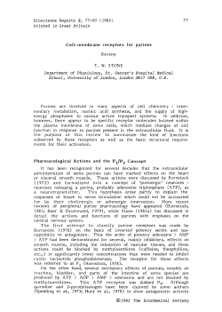 Cell-membrane receptors for purines