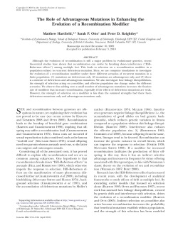 The Role of Advantageous Mutations in Enhancing