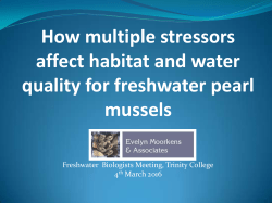 How multiple stressors affect habitat and water quality for freshwater