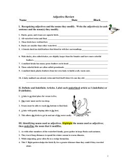 Adjective Review - Warren Hills Regional School District