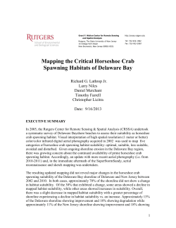 Mapping the Critical Horseshoe Crab Spawning Habitats