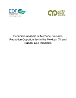 Executive summary  - Environmental Defense Fund