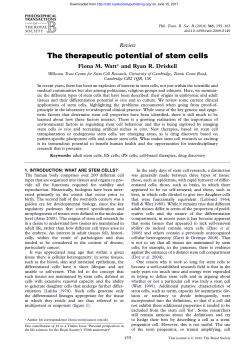 The therapeutic potential of stem cells