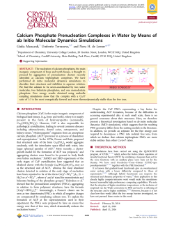 Calcium Phosphate Prenucleation Complexes in Water by Means of