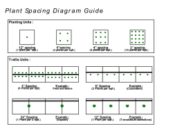 Plant Spacing Diagram Guide