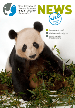 Pandamania | p 2ff Biodiversity is Us | p 26 Illegal Trade in Cheetahs